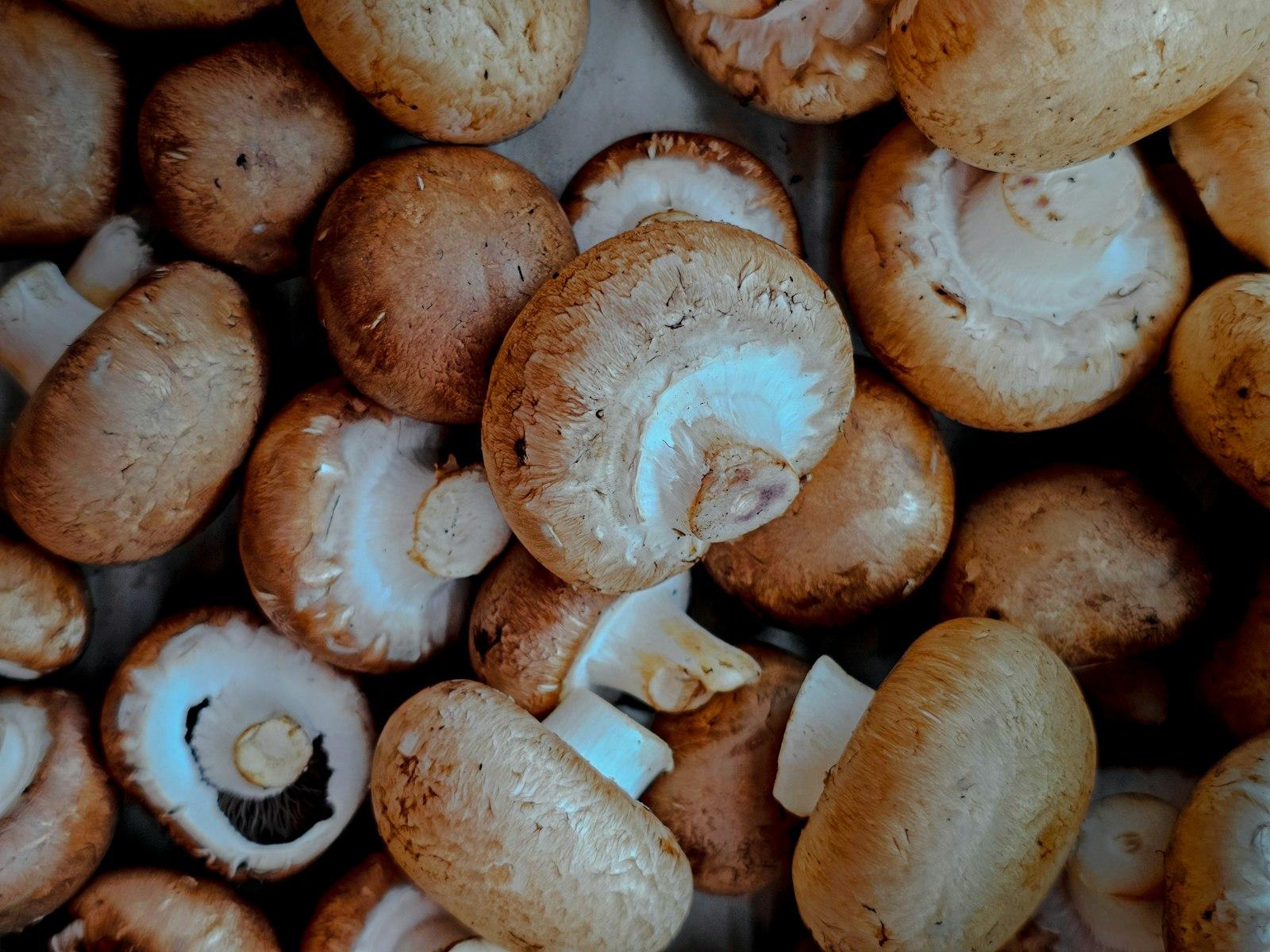 A Bunch Of Mushrooms Sitting On Top Of A Table jigsaw puzzle preview