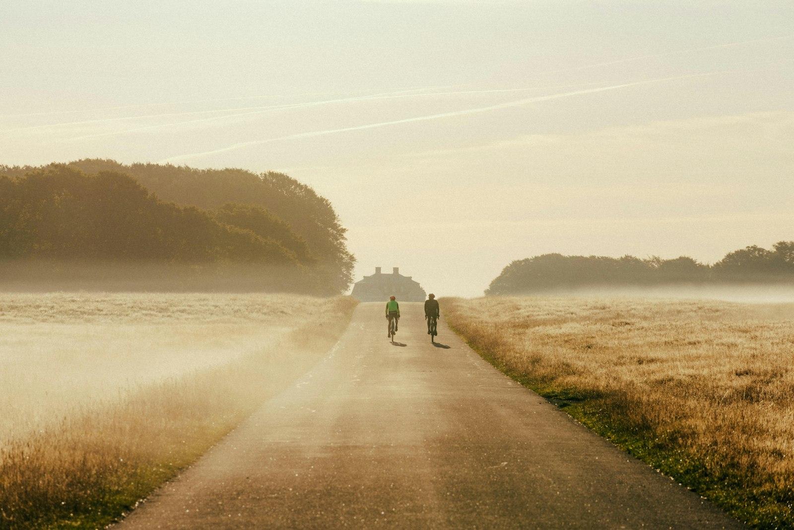 A Couple People Walking On A Path By A Body Of Wat jigsaw puzzle preview