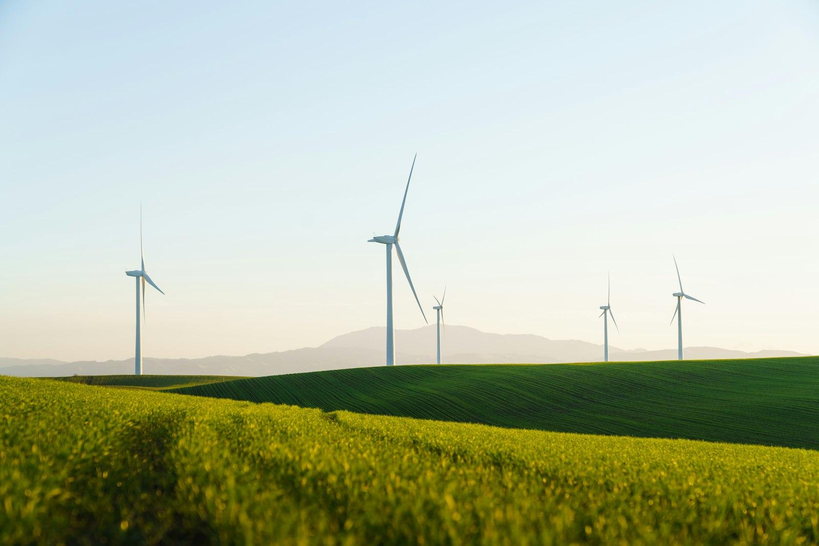 A Field Of Green Grass With Wind Turbines In The B jigsaw puzzle preview