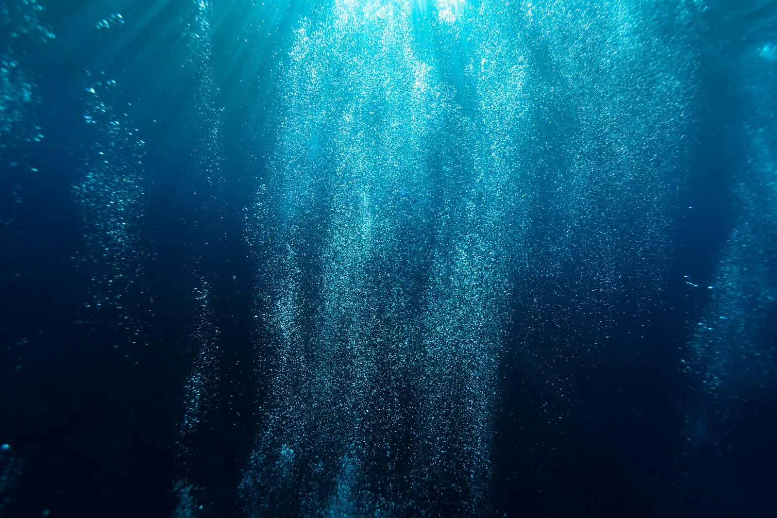 A Flurry Of Air Bubbles From Scuba Divers jigsaw puzzle preview