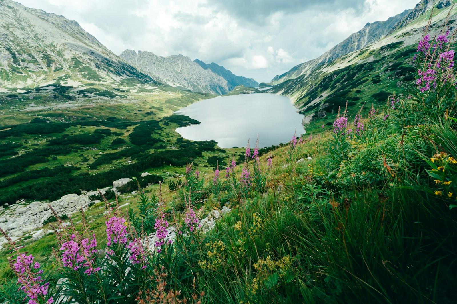 A Lake In The Middle Of A Mountain Range jigsaw puzzle preview