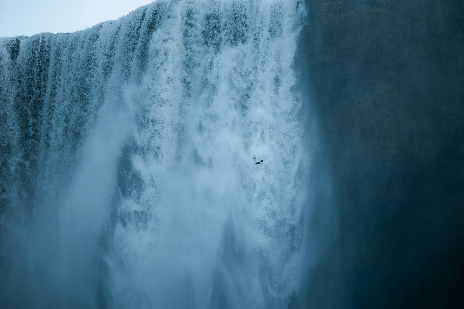 A Large Waterfall With A Bird Flying jigsaw puzzle preview