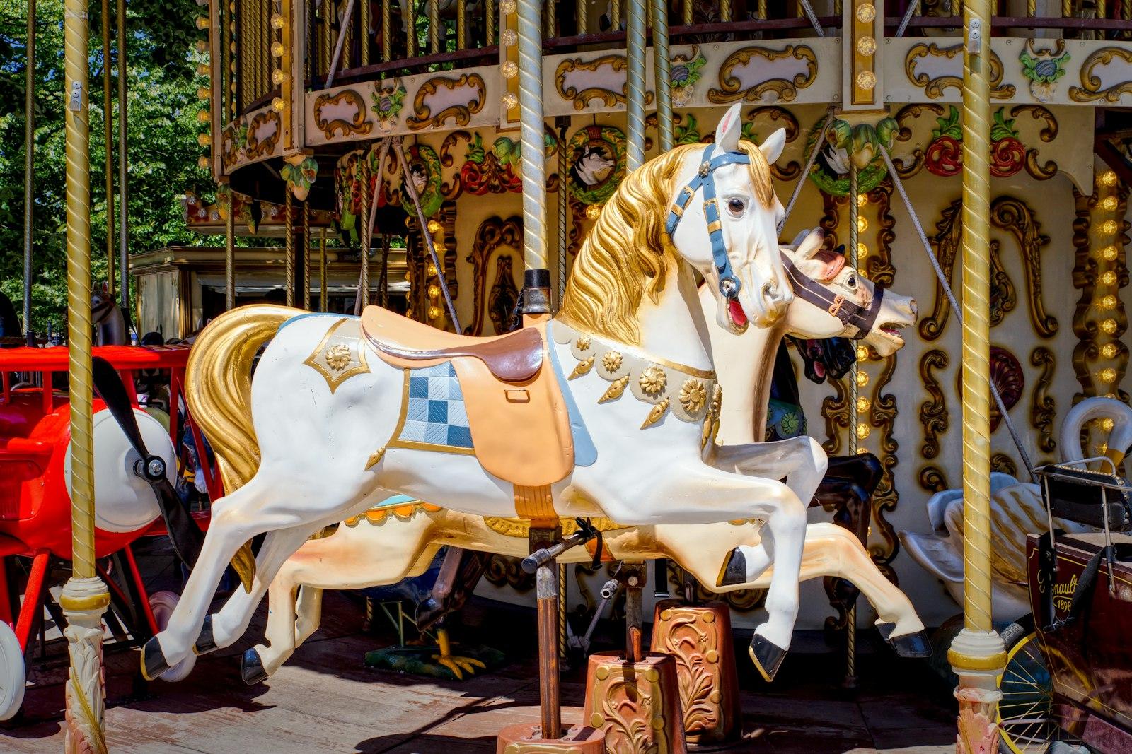 A Merry Go Round With A Horse And Carriage jigsaw puzzle preview