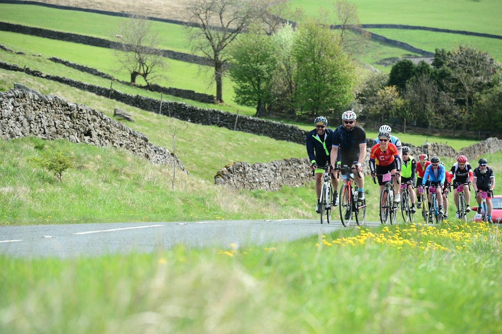 A Peloton Of Cyclists Riding Up A Hill On A Countr jigsaw puzzle preview