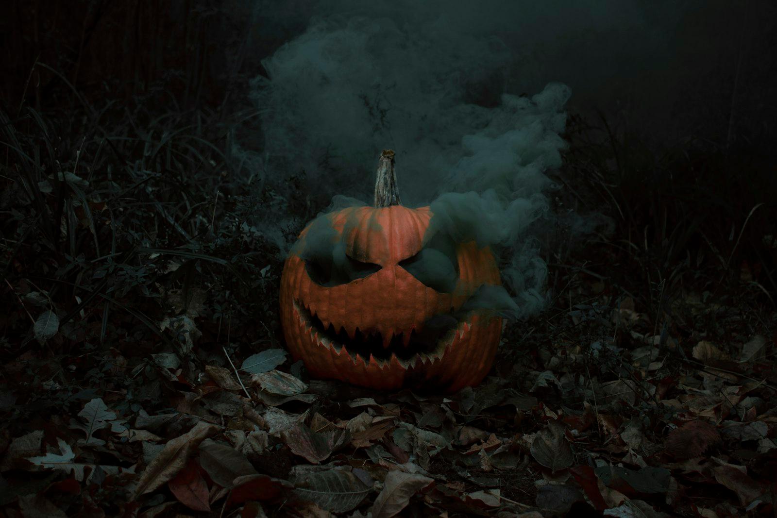 A Pumpkin On The Ground jigsaw puzzle preview