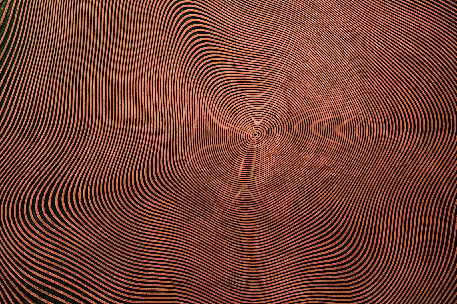 A Red And Black Background With Wavy Lines jigsaw puzzle preview