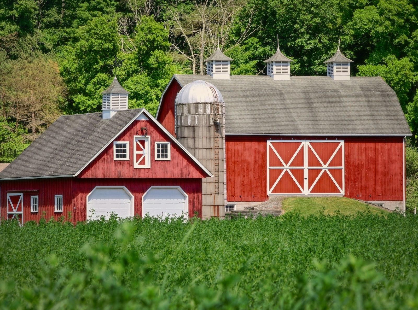 A Red Barn In A Green Field jigsaw puzzle preview