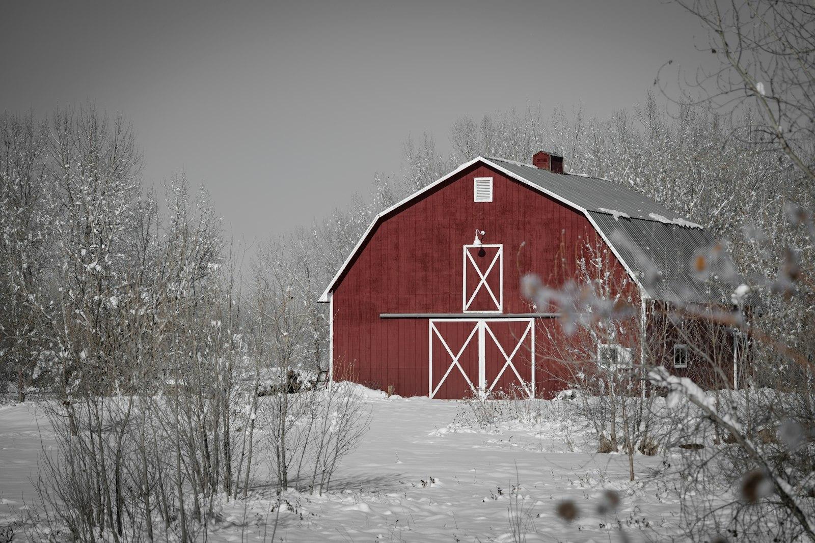 A Red Barn In A Winter Scene jigsaw puzzle preview