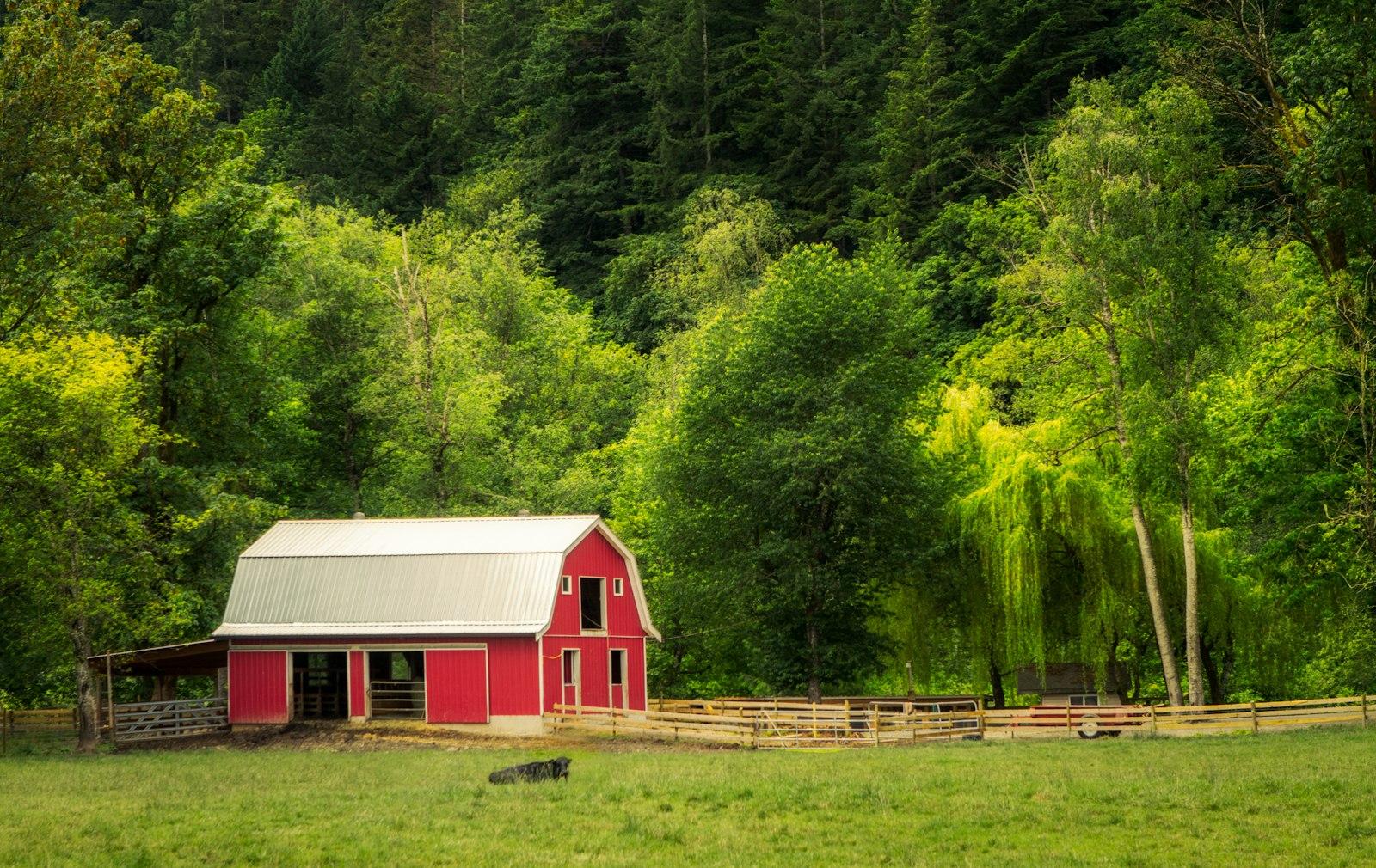 A Red Barn In The Middle Of A Lush Green Field jigsaw puzzle preview