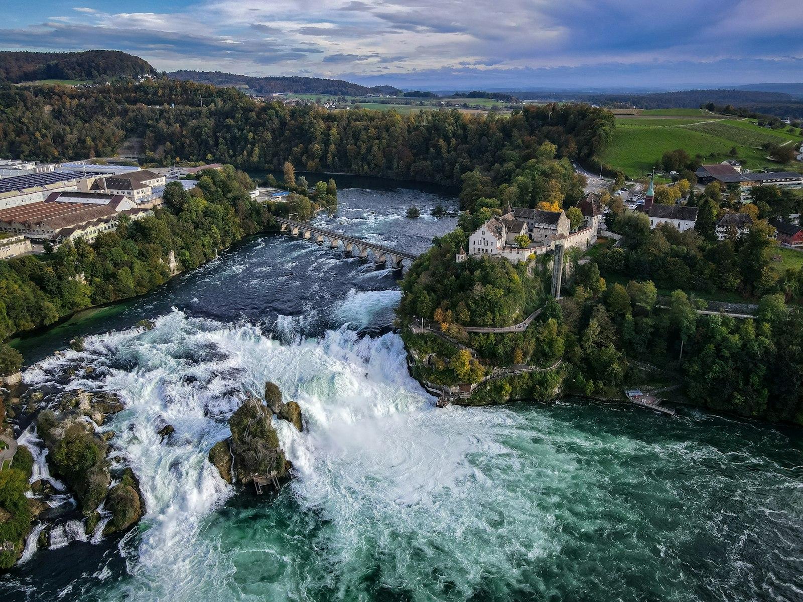 A River Running Through A Lush Green Forest jigsaw puzzle preview