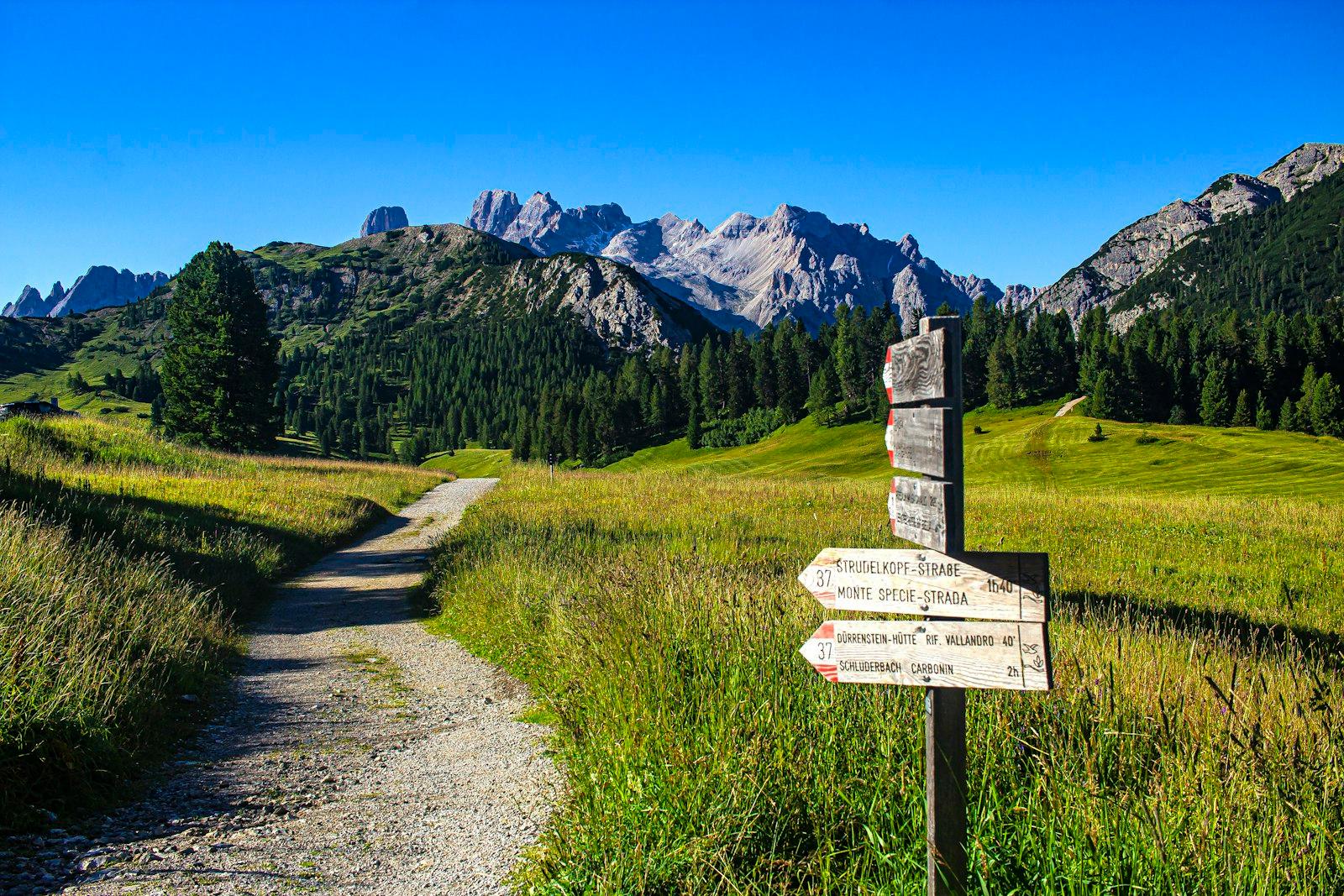 A Sign Pointing In Different Directions On A Trail jigsaw puzzle preview