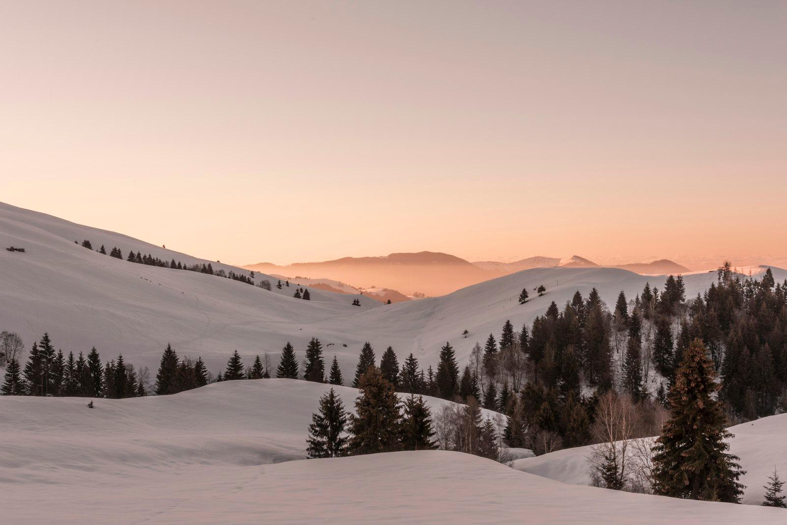 A Snowy Landscape With Trees And Mountains In The  jigsaw puzzle preview