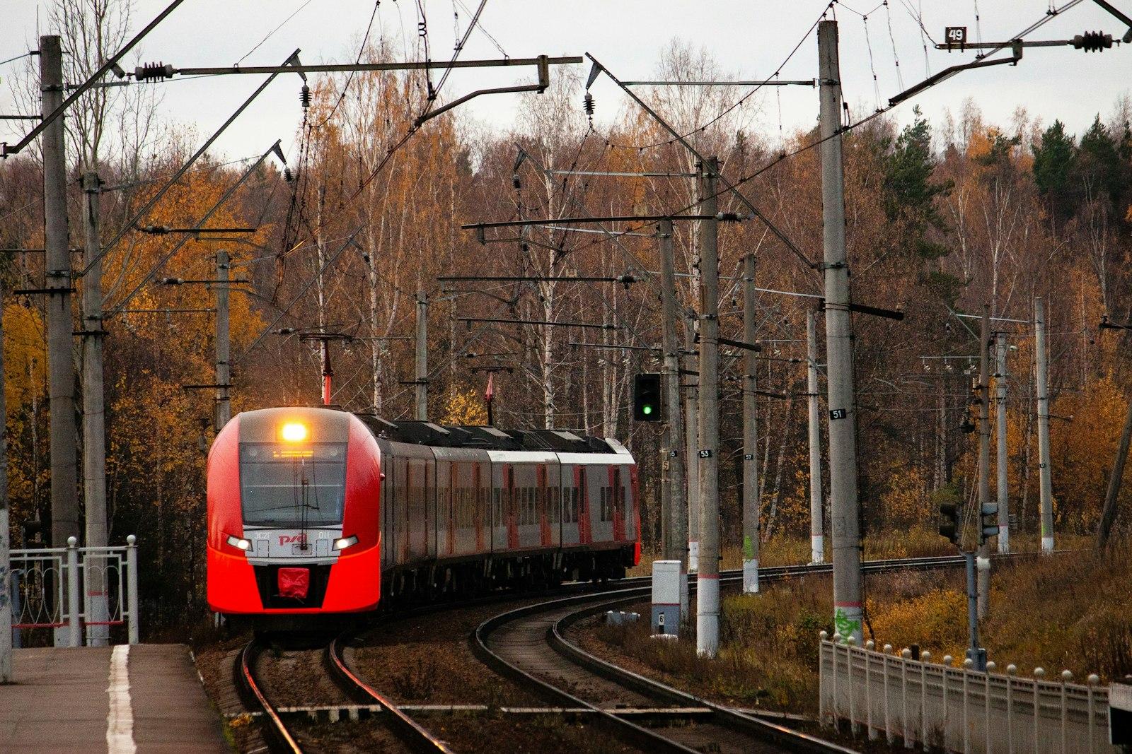A Suburban Train In An Autumn Forest jigsaw puzzle preview