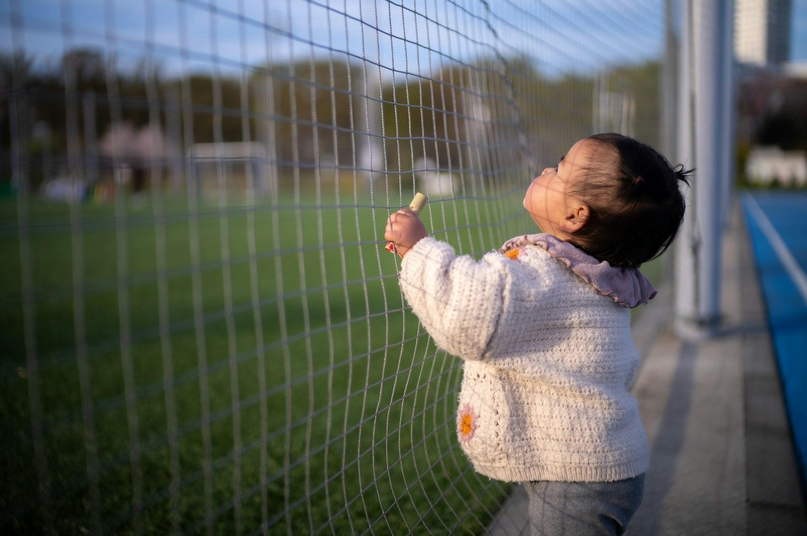 A Toddler Looks Up At A Fence On A Field jigsaw puzzle preview