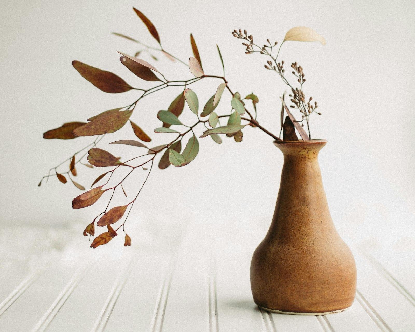A Vase With A Plant In It Sitting On A Table jigsaw puzzle preview