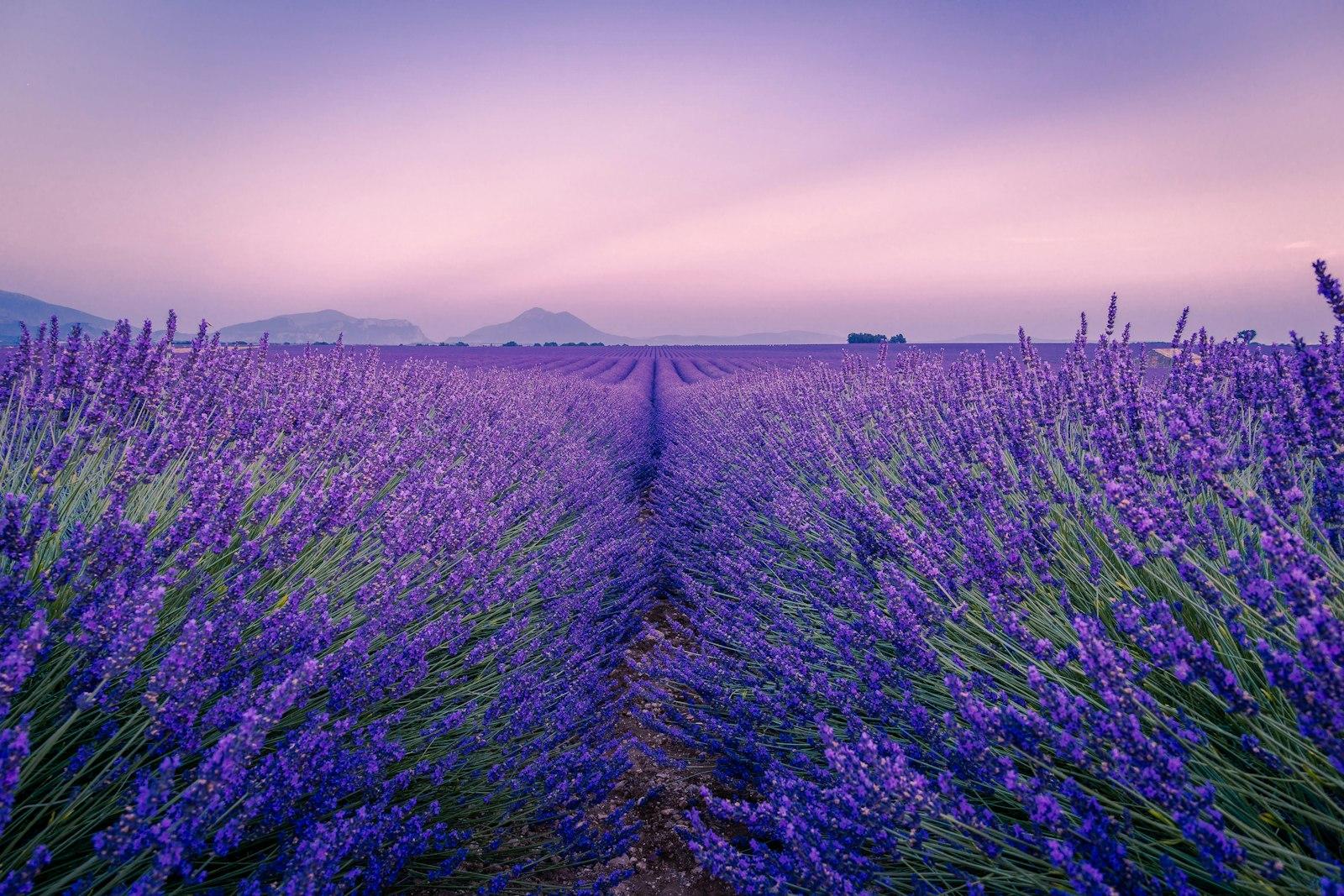 A Wonderful Night In Provence jigsaw puzzle preview