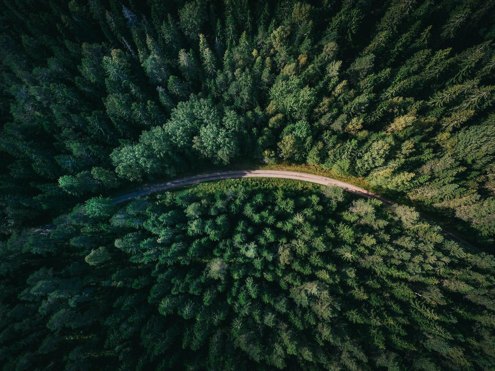 Aerial Shot Of Road Surrounded By Green jigsaw puzzle preview