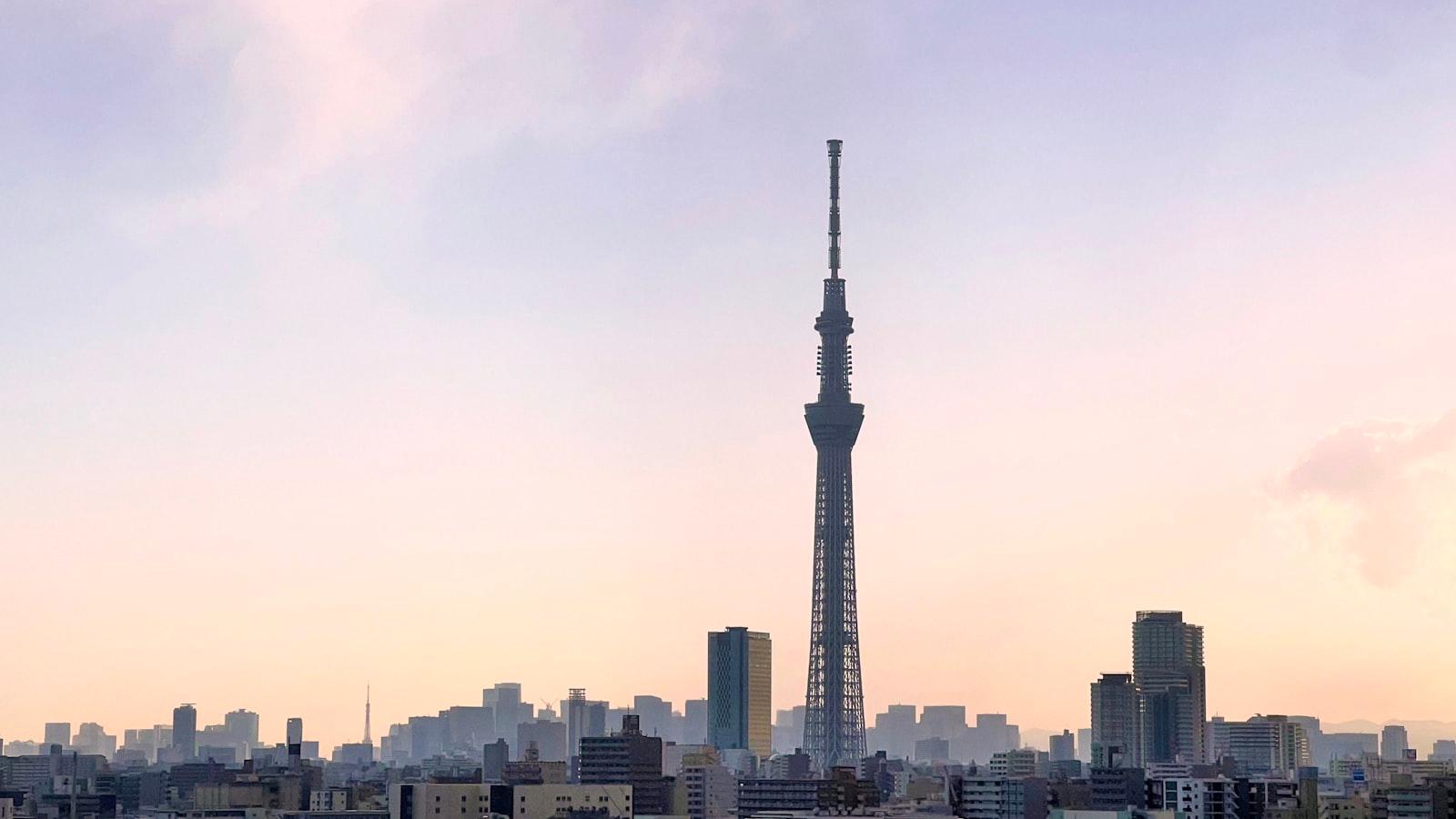 Afternoon Skyline In Tokyo With Skytree jigsaw puzzle preview