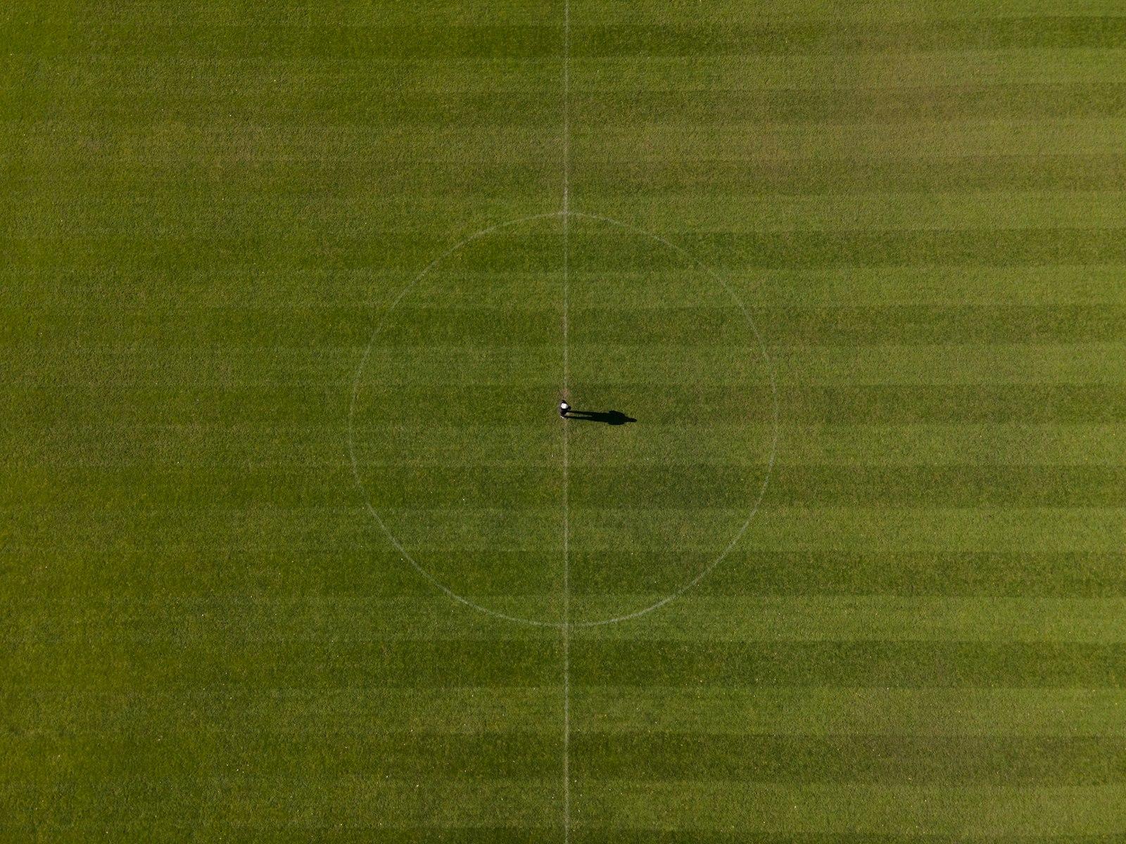 An Aerial View Of A Baseball Field With A Ball In jigsaw puzzle preview