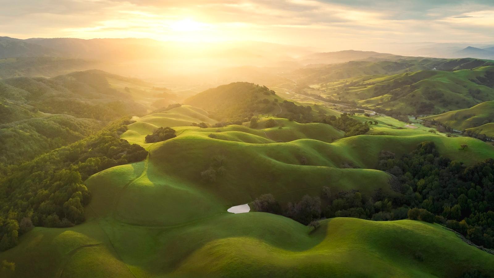An Aerial View Of Green Hills And Trees jigsaw puzzle preview