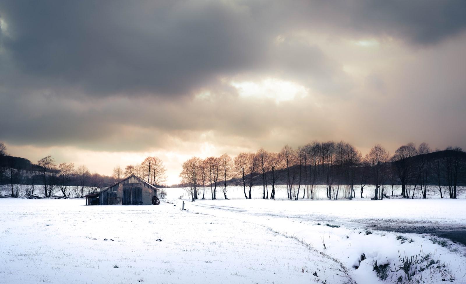 An Old Farm Hut Amidst A Snowy Field jigsaw puzzle preview