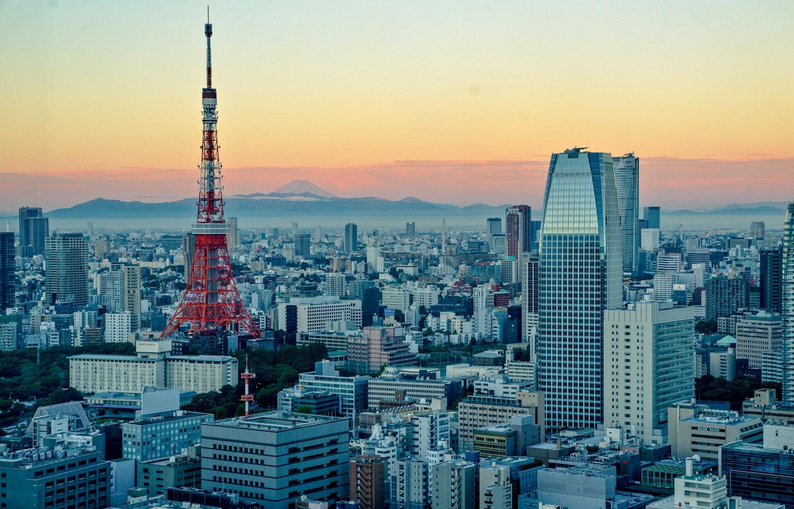 An Unlimited View Of Tokyo And The Mt Fuji jigsaw puzzle preview