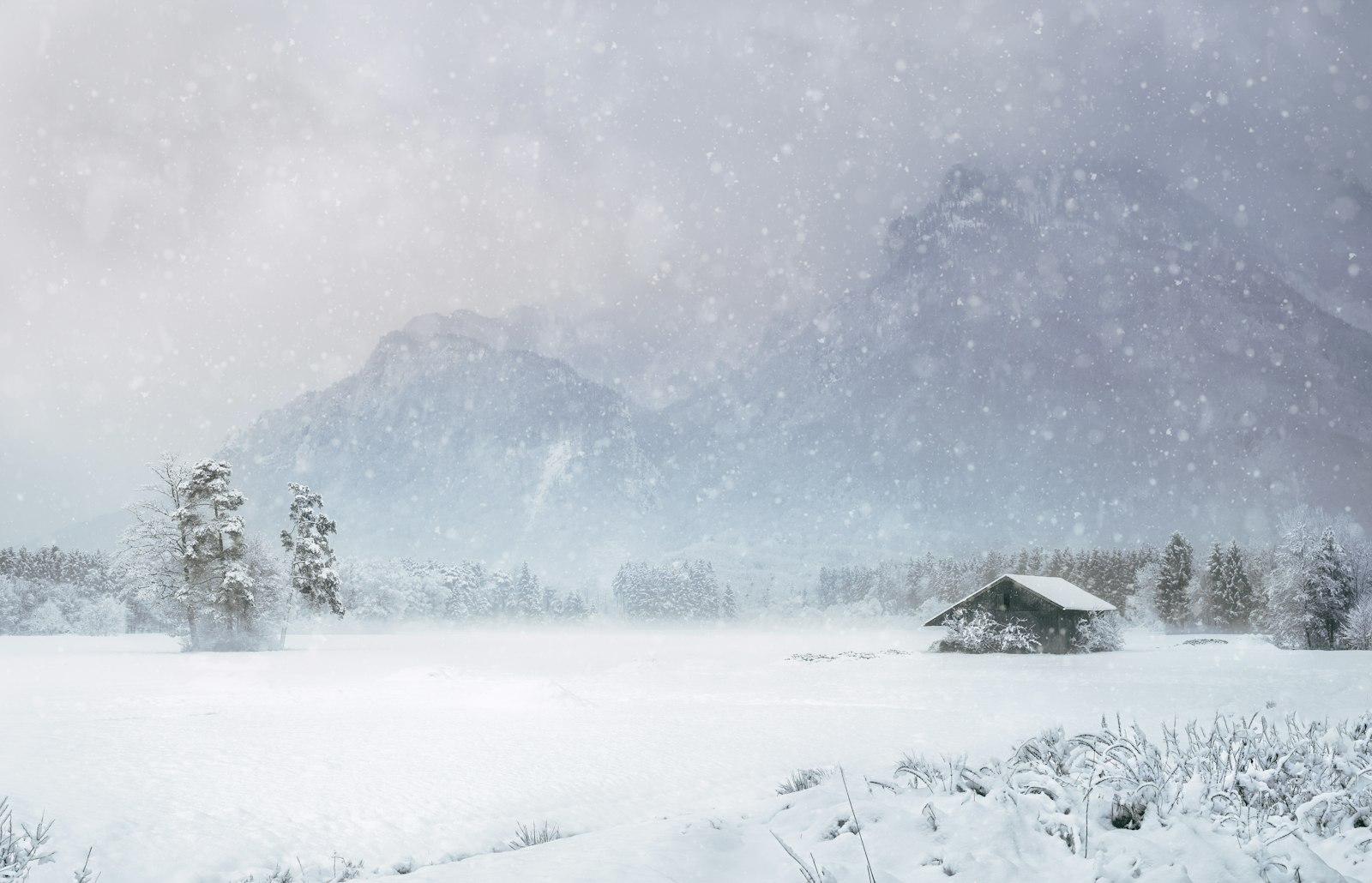 Are You Ready For Some Snow? Some Snow In My Shoes jigsaw puzzle preview