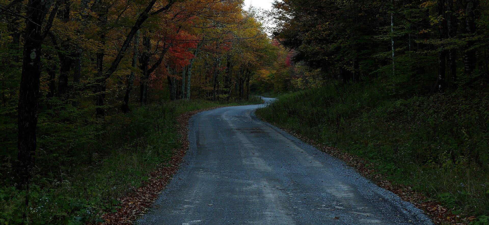 Autumn Forest Road jigsaw puzzle preview