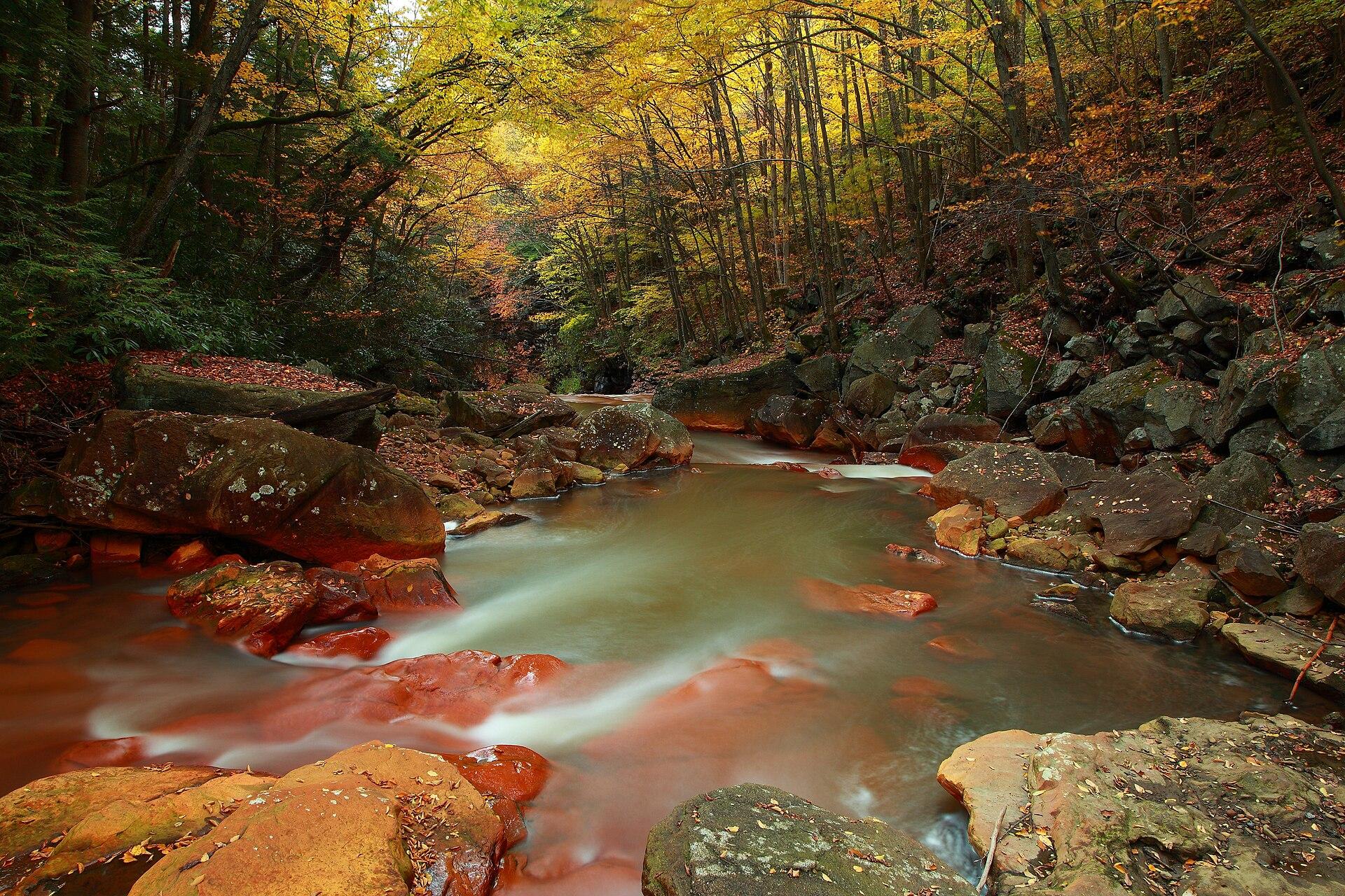 Autumn Forest Stream jigsaw puzzle preview
