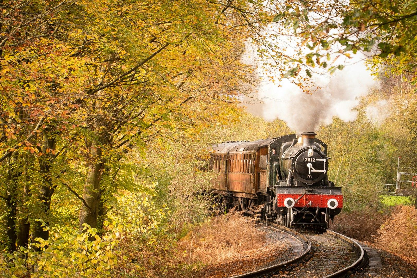 Autumn Steam Train jigsaw puzzle preview