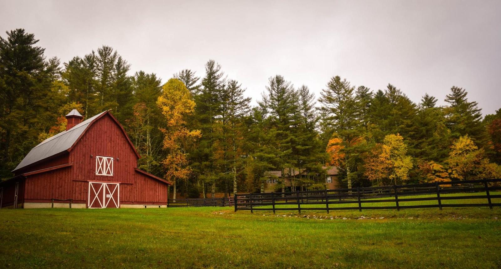 Barn Surrounded By Trees jigsaw puzzle preview