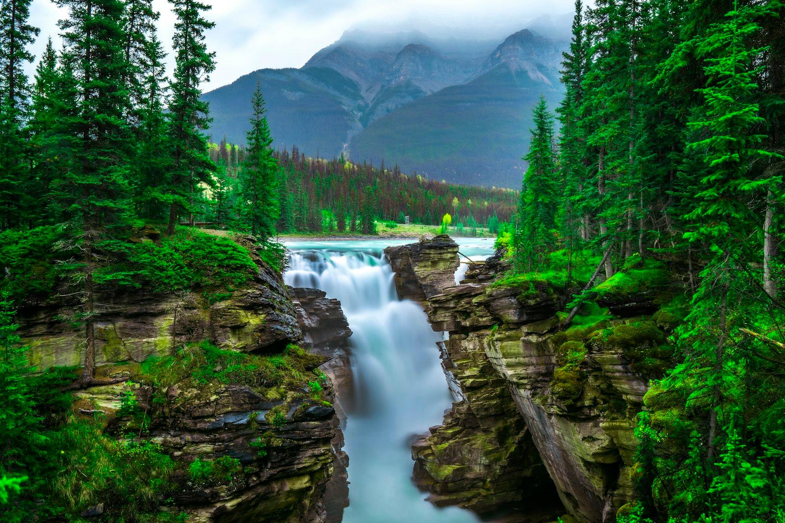 Beautiful Waterfall In Rich Green Rainforest Mount jigsaw puzzle preview