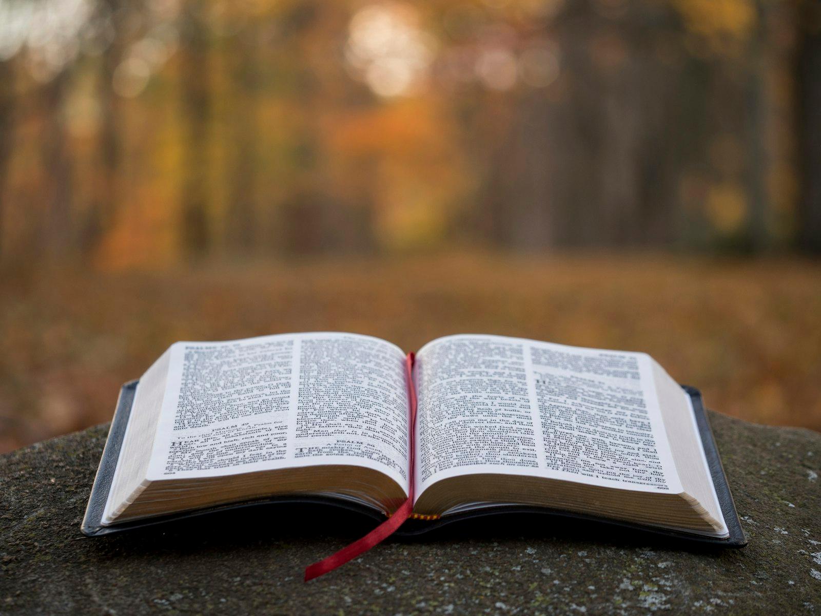 Bible Page On Gray Concrete Surface jigsaw puzzle preview