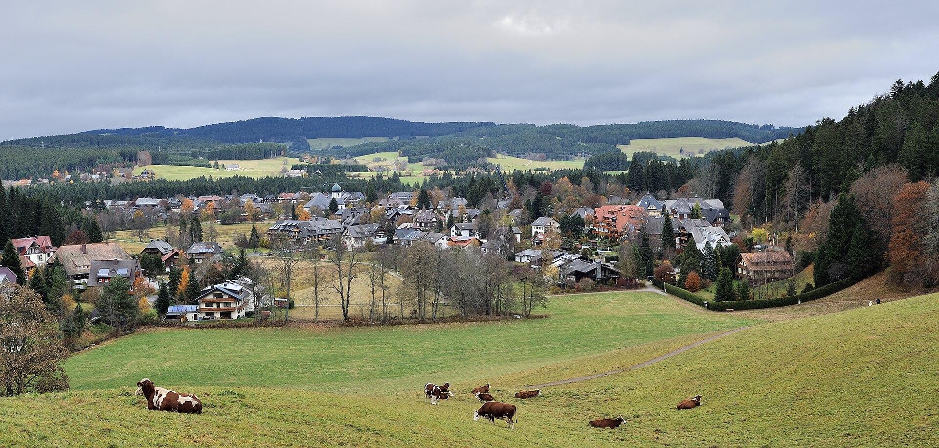 Black Forest, Germany jigsaw puzzle preview
