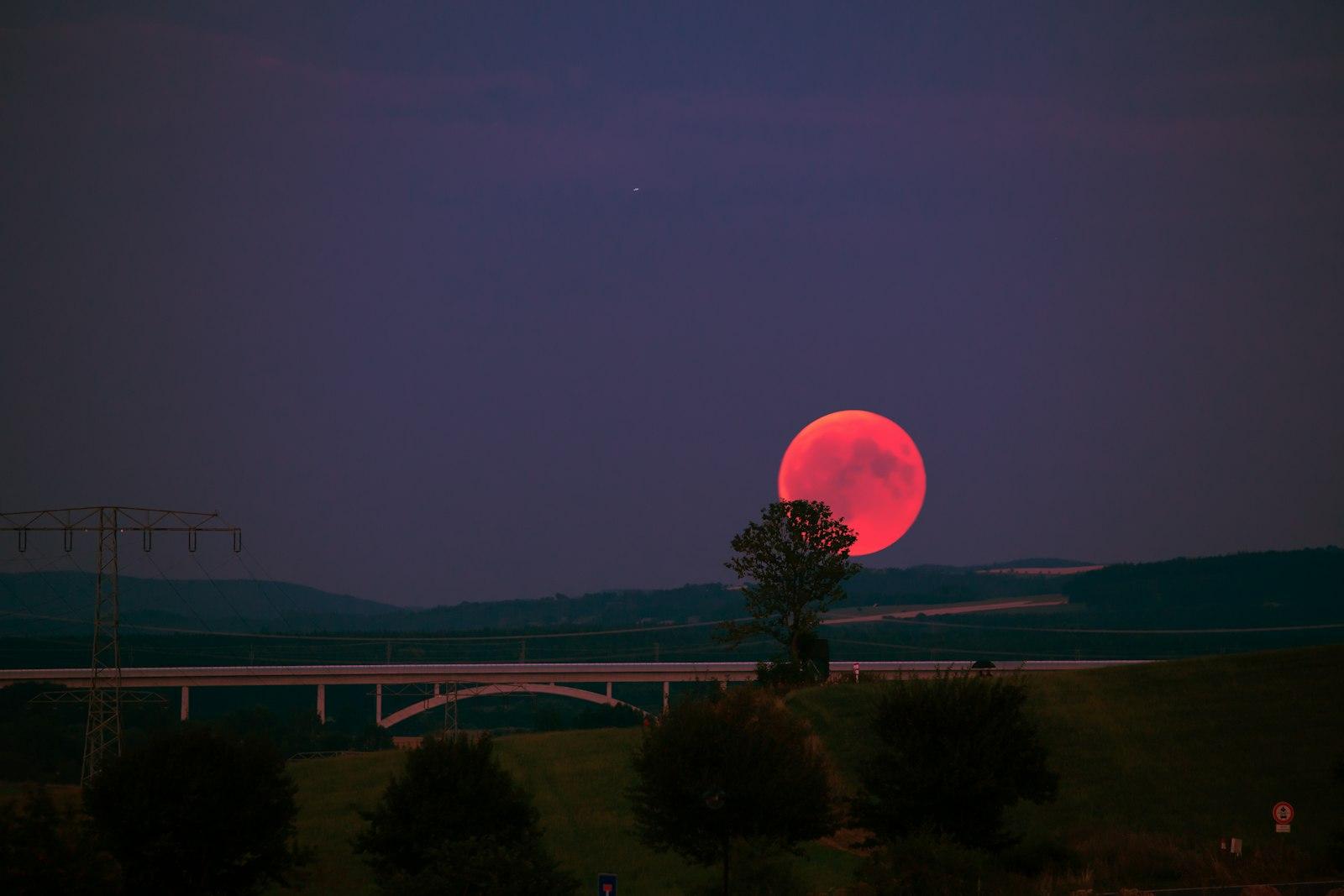 Bloodmoon jigsaw puzzle preview