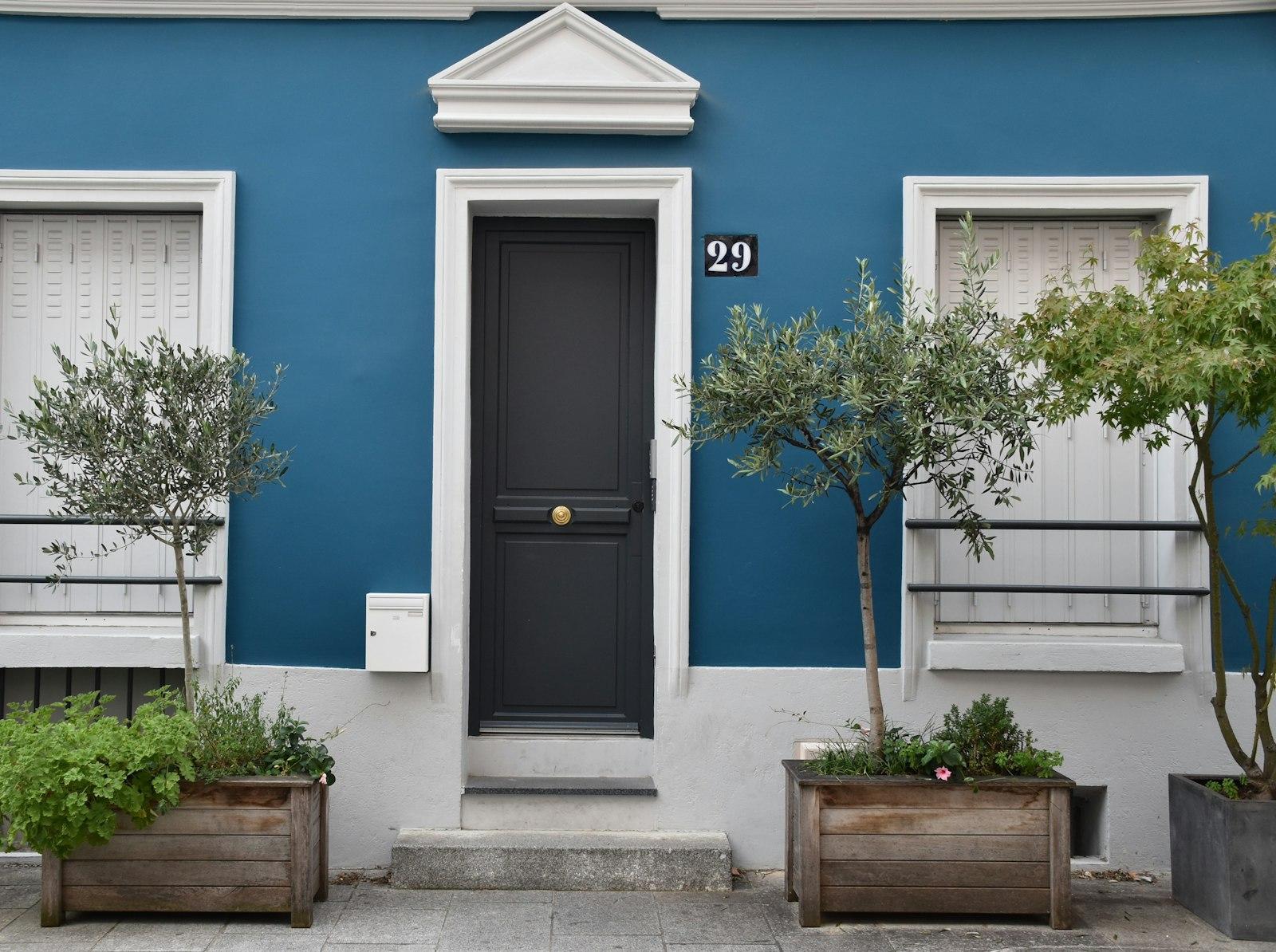 Blue Wooden Door With Green Plant jigsaw puzzle preview