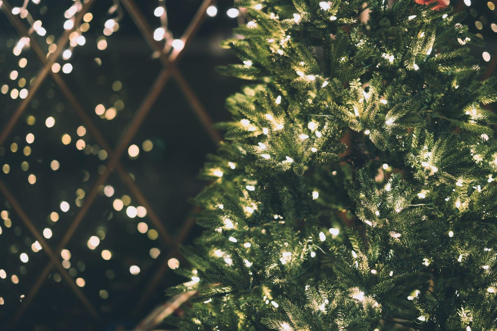 Blurred Holiday Reflections jigsaw puzzle preview
