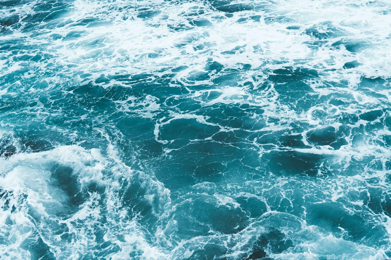 Body Of Water jigsaw puzzle preview