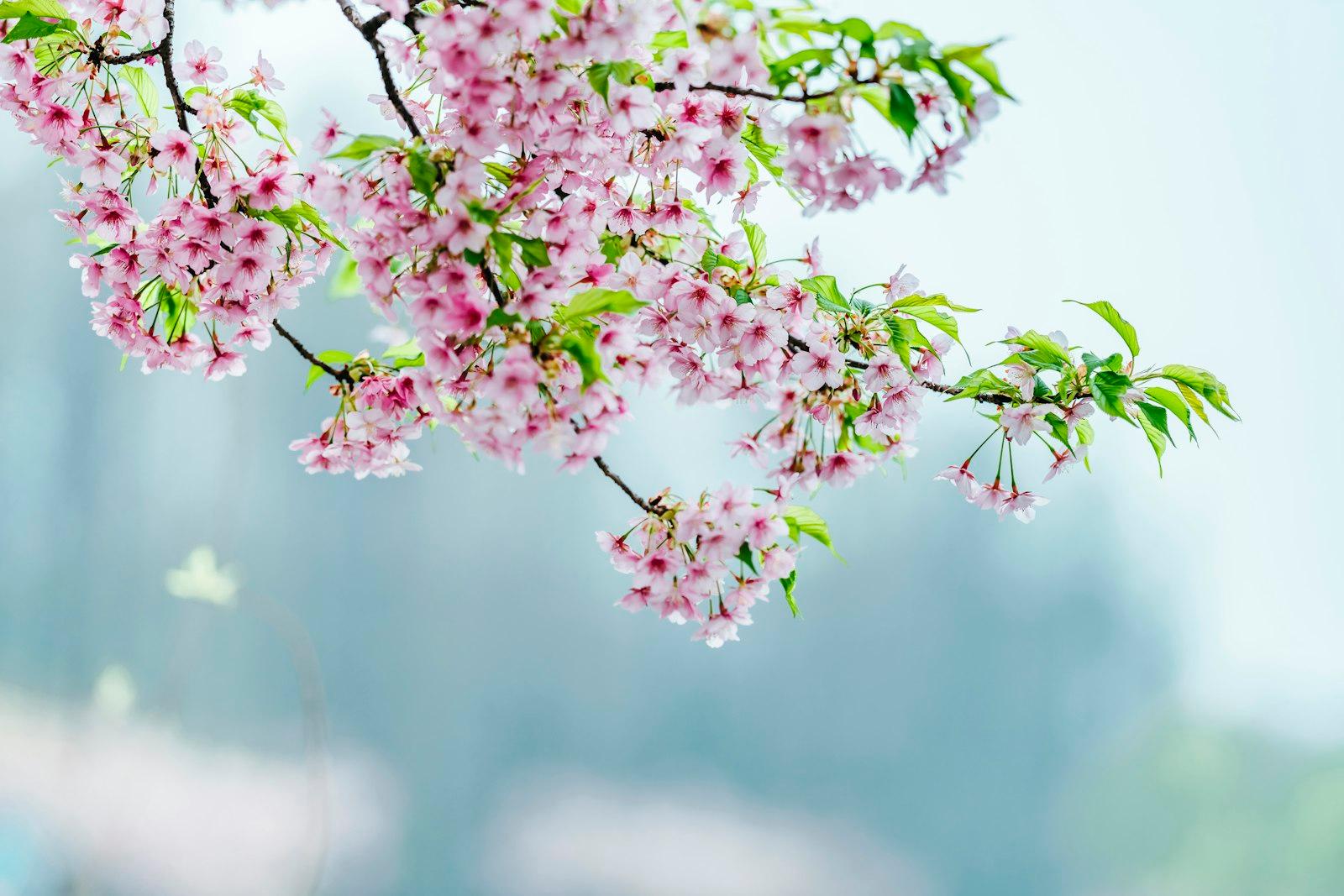 Bright Spring jigsaw puzzle preview