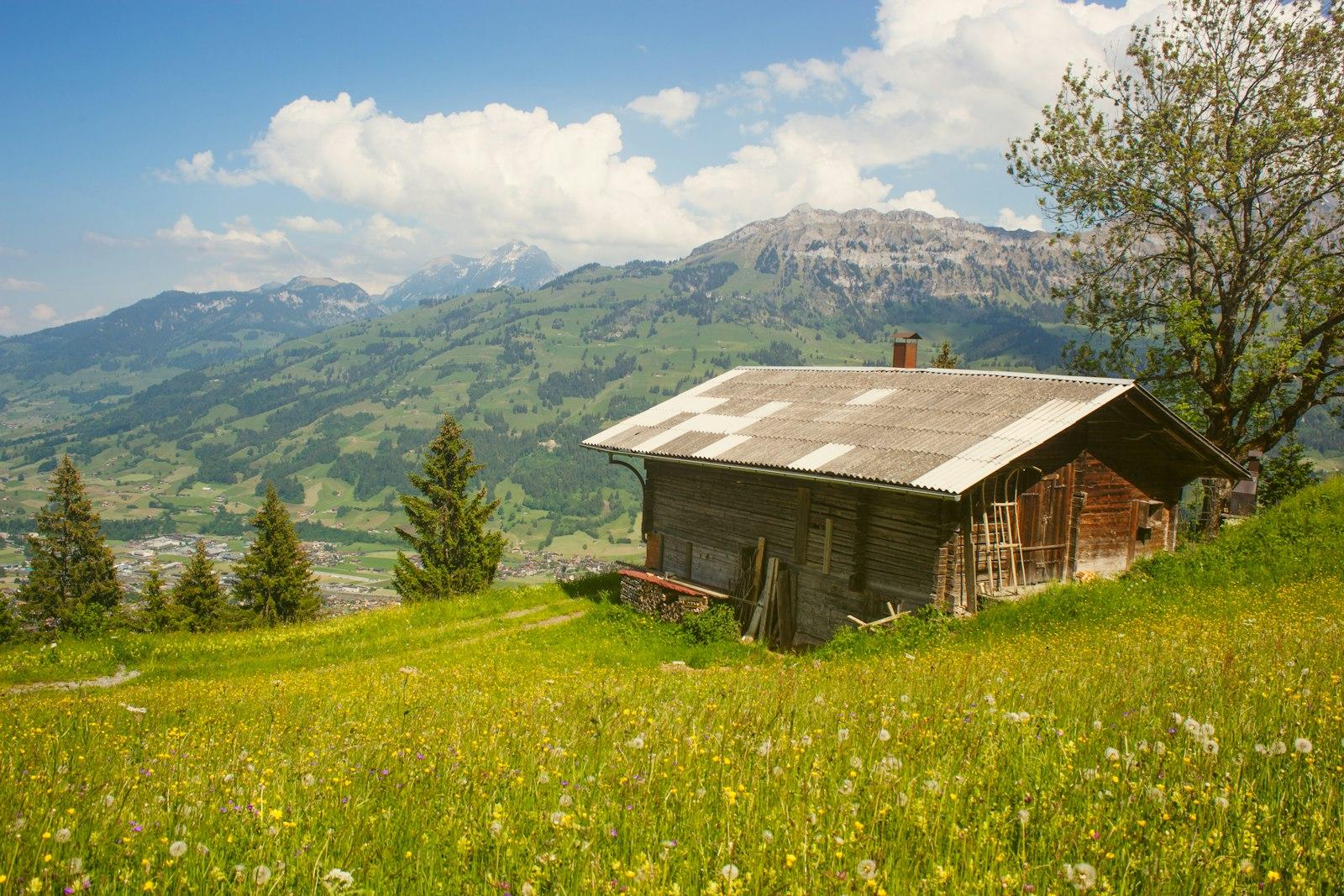 Brown Cabin Surrounded By Grass And Trees jigsaw puzzle preview