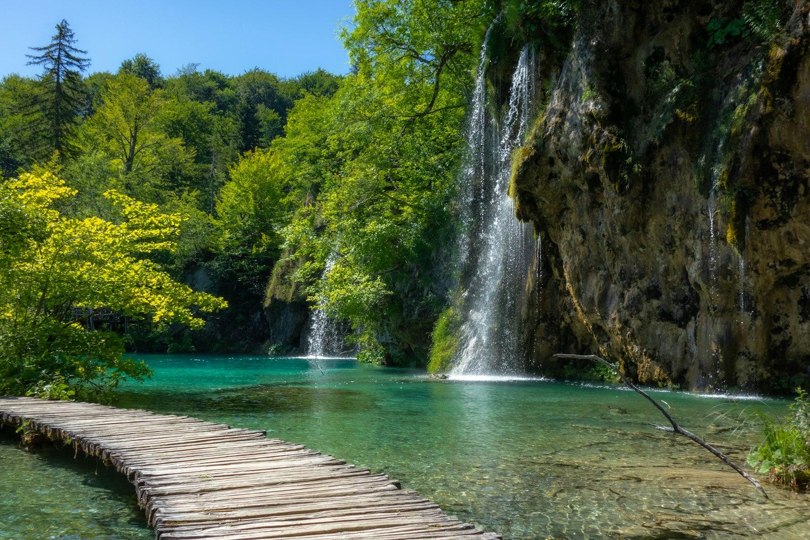 Brown Wooden Dock Near Green Trees During jigsaw puzzle preview