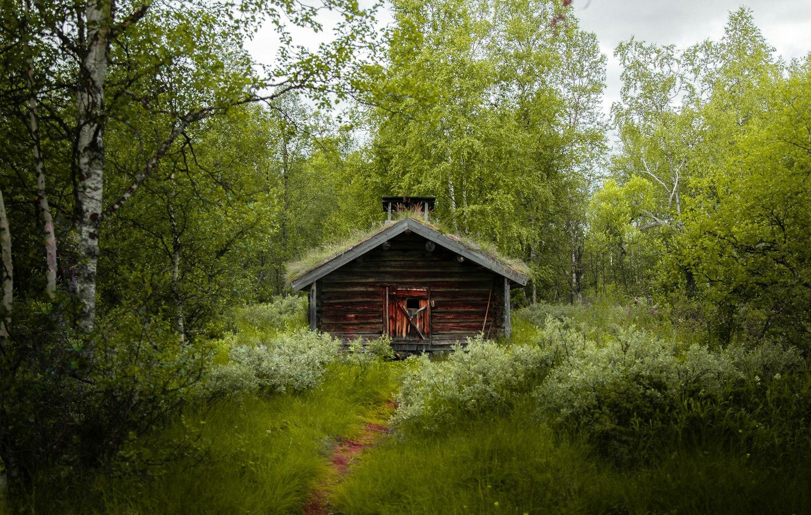 Brown Wooden House In The Middle Of Green Trees jigsaw puzzle preview