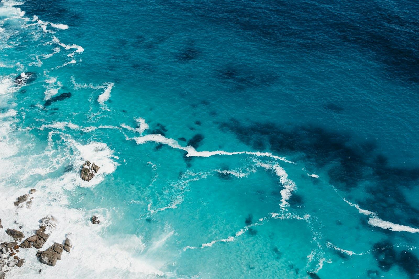 Cape Point jigsaw puzzle preview