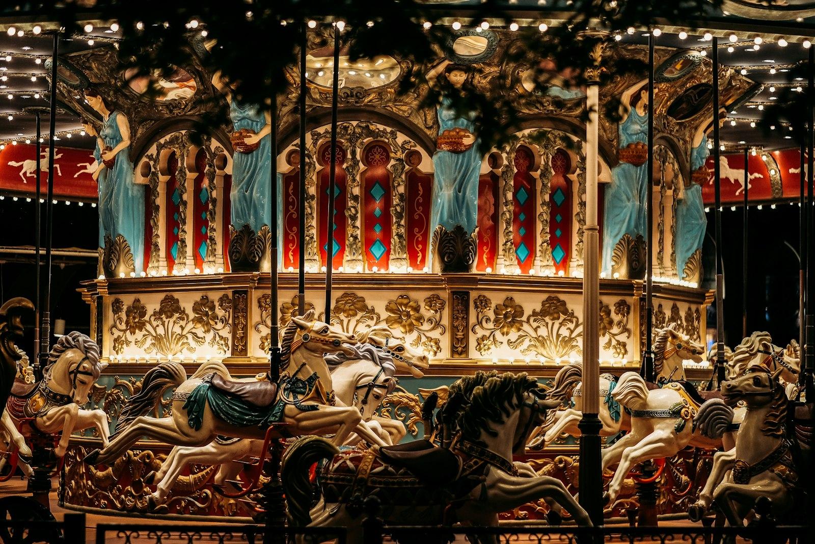 Carousel Photography jigsaw puzzle preview