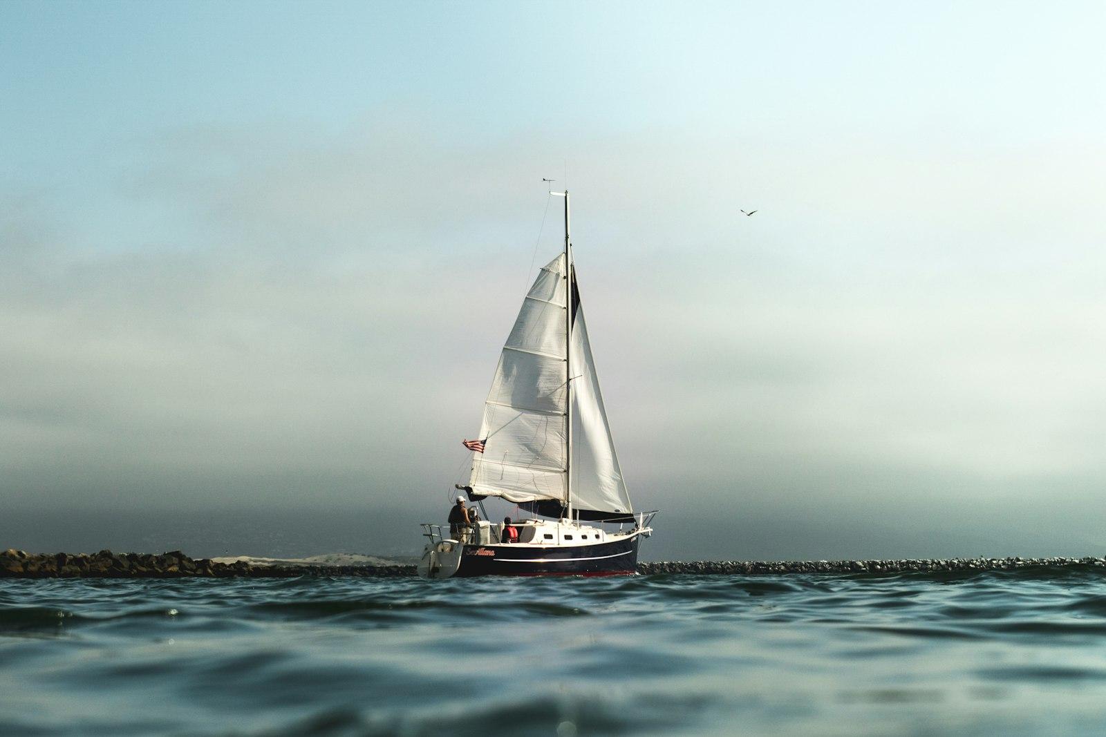 Caught In The Harbor Of Morro Bay. They Sailed Out jigsaw puzzle preview