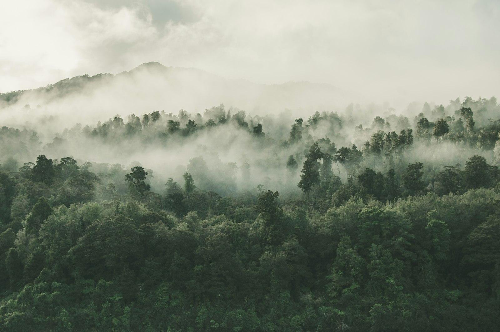 Caught This On An Early Morning Hike On A Trip In  jigsaw puzzle preview
