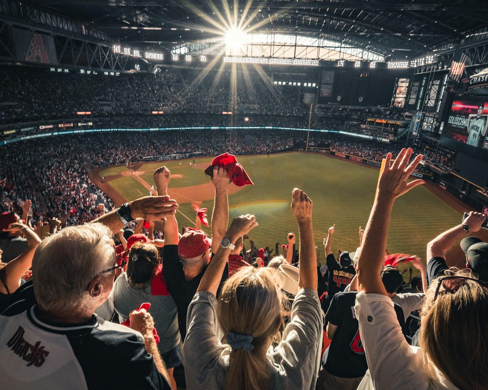 Celebrating A Home Run At A Baseball Playoff Game jigsaw puzzle preview
