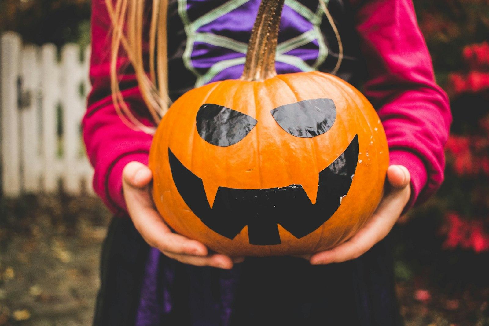 Child Holding Jack-O-Lantern jigsaw puzzle preview