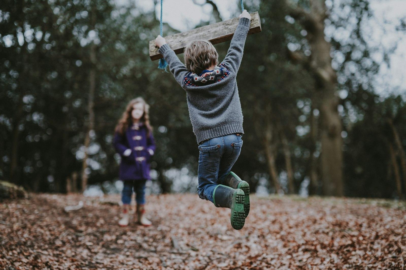 Children Playing On Tree Swing In Woods jigsaw puzzle preview