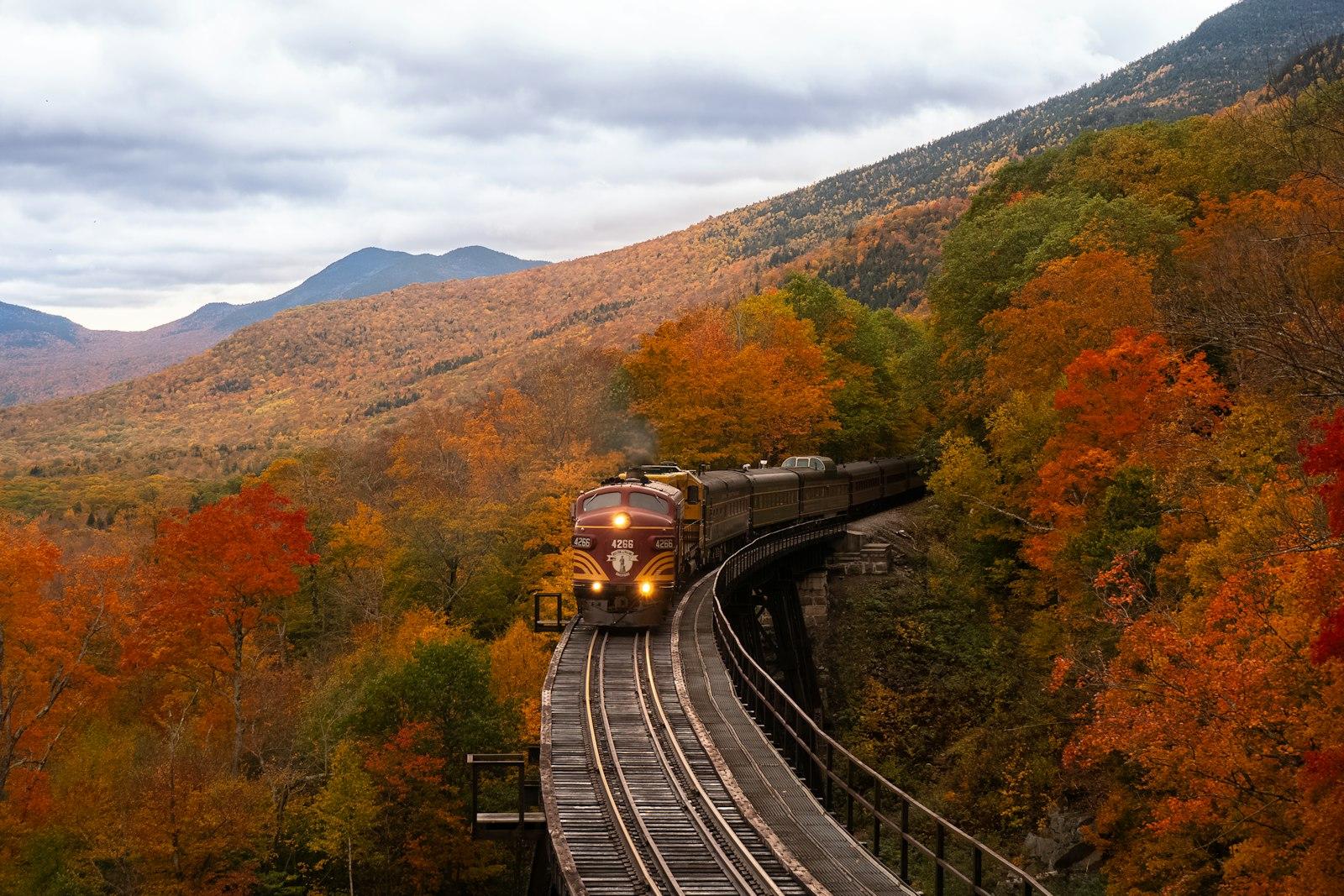 Choo Choo jigsaw puzzle preview